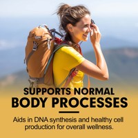 Comprimés d'acide folique très vendus : favorisent les processus naturels du corps et favorisent la relaxation et le bien-être