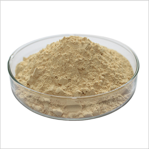 En iyi fiyat organik Withania Somnifera 5% Withanolides kök tozu ashashandha özü - Product Image 3