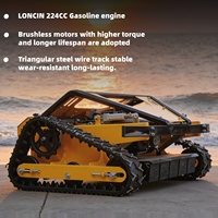 Tondeuse à gazon télécommandée de haute qualité pour jardin, moteur à essence 224cc, robot tondeuse à gazon sur chenilles