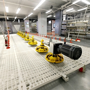 Equipo Automático de Línea de Alimentación <span class=keywords><strong>para</strong></span> Granjas Avícolas, Transportador de Alimentos <span class=keywords><strong>para</strong></span> Pollos, Sistema de Alimentación - Product Image 5