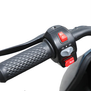 कनाडा स्ट्रीट कानूनी 25Km/एच लिथियम बैटरी इंजन से साइकिल सस्ते बिजली साइकिल - Product Image 2