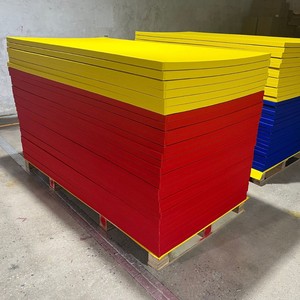 Võ Thuật Tùy Chỉnh Miếng Bọt Biển PVC Da Bọt MMA Jiu Jitsu Kendo Đào Tạo Judo Thảm Thảm 200X100X4Cm 5Cm Đấu Vật Miễn Phí - Product Image 1