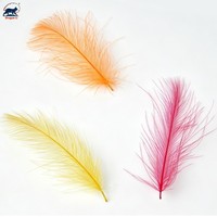 Plumes de canard naturelles écologiques teintées CDC pour la fabrication de mouches sèches, d'émérillons et accessoires de pêche à la mouche