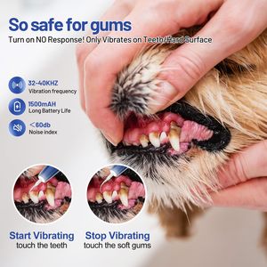 High Frequency Usb Rechargeable Waterproof <strong>Dental</strong> Scaler Vibrating Pet Ultrasonic Tartar Calculus Tooth Cleaner for Dogs <strong>Cats</strong> - Product Image 4