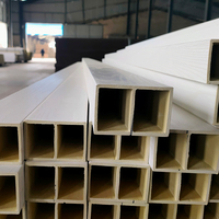 Panneaux muraux en WPC à grain de bois imperméables modernes pour la décoration murale intérieure