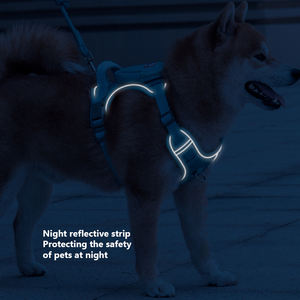 Grosir satu Set ransel tali kekang anjing poliester antiair awet lembut antilembap jaring pengaman anjing empuk - Product Image 3