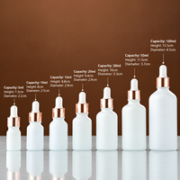 Flacon compte-gouttes blanc personnalisé 5ml 10ml 15ml 20ml 30ml 50ml 100ml avec collier or rose ou argenté pour sérum et huile essentielle