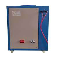 Alimentation rectifiée haute fréquence Wenbo 100A 24V 2400W pour électrolyse, équipement industriel automatique