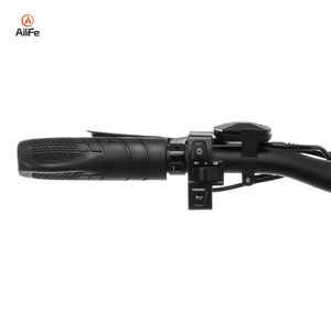 Eu Magazijn Gratis Verzending 250W 500W 1000W Mtb Elektrische Mountainbike 20 Inch Elektrische Mountainbike - Product Image 4