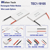 Elemen TEC Tahan Siklus Panas TEC1-19105 40x60x4.0 mm 5 A 67.69 W untuk Kontrol Suhu Radar Otomotif