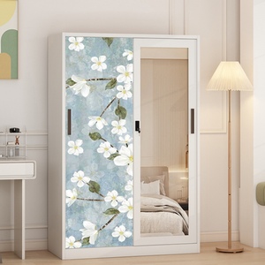 Armario de Dormitorio Contemporáneo de Acero Pintado de Alta Calidad y Durabilidad con Puertas Corredizas - Fábrica OEM - Product Image 6