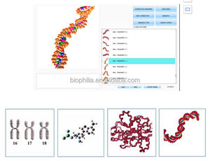 เครื่องมือบำบัดด้วยการสัมผัสสำหรับสัตว์เลี้ยง ปี 2026 รุ่นใหม่ ได้รับใบรับรอง CE ผลิตในจีน รองรับหลายภาษา - Product Image 6