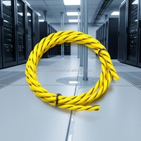 Détecteur de fuite d'eau rapide TCP/IP avec alarme sonore, câble de détection non localisé 2 conducteurs 6mm, sans connecteur, portée 500M