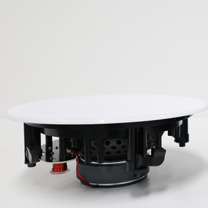 Độ Trung Thực Cao 60W * 2 Cho <span class=keywords><strong>Bluetooth</strong></span> Loa Trần Khuếch Đại Top-Grade Không Dây Rạp Hát Tại Nhà Loa Với Vật Liệu Hình Nón - Product Image 2