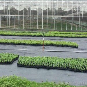 <span class=keywords><strong>Géotextile</strong></span> noir pour jardin, barrière anti-herbe et tissu de contrôle des adventices, tapis anti-UV pour parterres de fleurs - Product Image 6