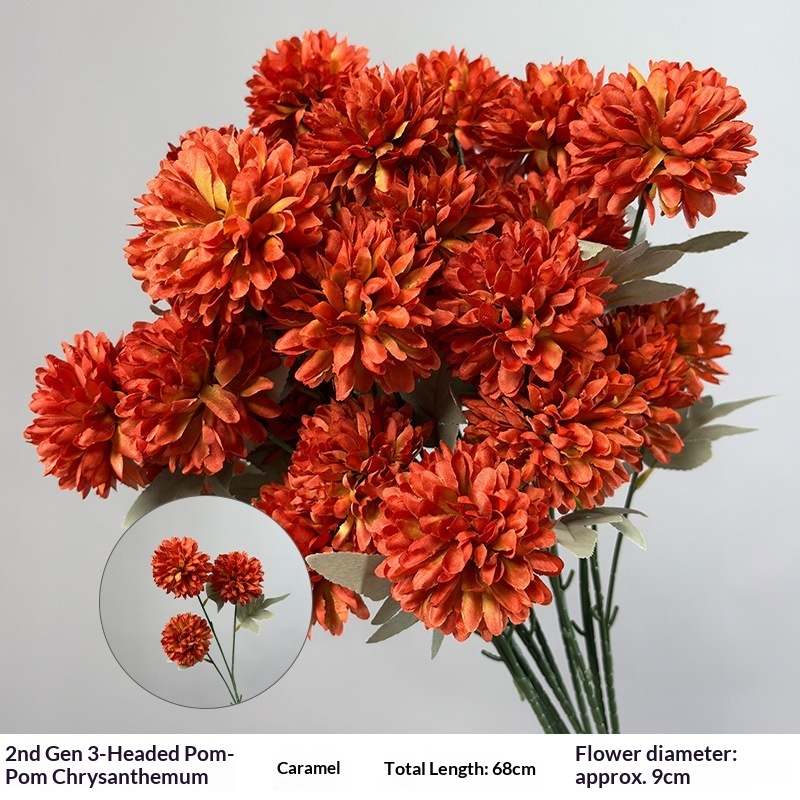 3 pompon chrysanthemums Caramel