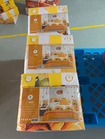 ODM/OEM Ensemble de 8 draps de lit avec rideaux assortis en stock, prêt à être expédié