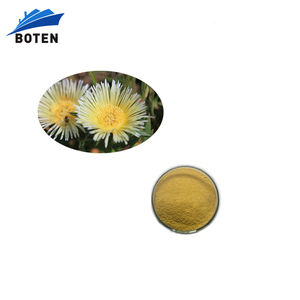 Naturel <span class=keywords><strong>sceletium</strong></span> <span class=keywords><strong>tortuosum</strong></span> kanna extrait poudre - Product Image 1