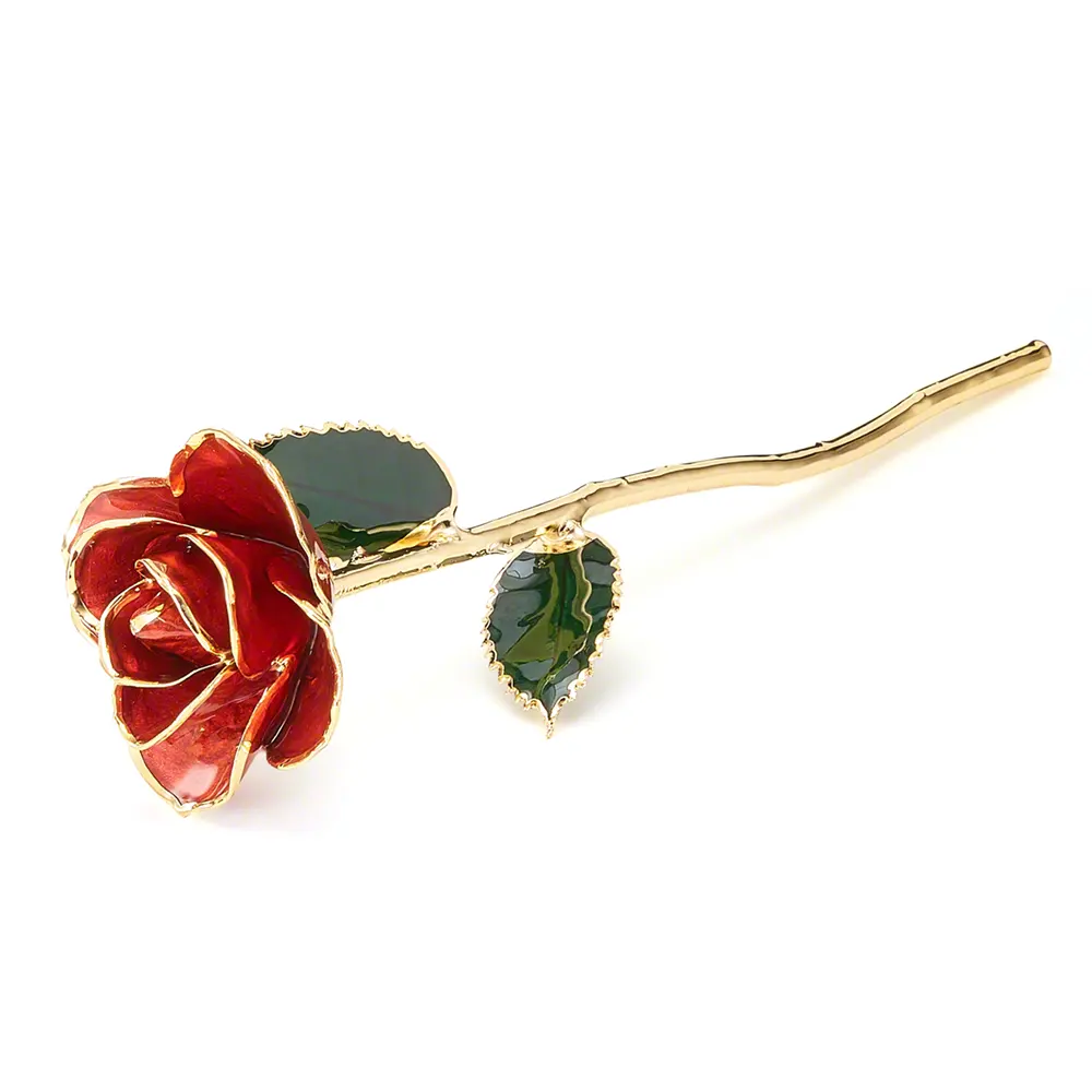 Offre Spéciale 24k Or Trempé Rose Réel Préservé Rose Fleurs Saint Valentin Plaqué Forever Rose Cadeaux