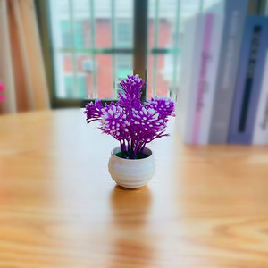 Plantes artificielles en pot Qi Xing, fleurs en plastique de 14 cm, forme de cloche, décoration de bureau, fabriqué en Chine - Product Image 4