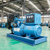 Groupe électrogène polyvalent 10 kVA avec AVR et disjoncteur pour l'éclairage temporaire et les outils de chantier