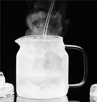Ensemble de théière portable en verre soufflé à la main 560 ml 960 ml avec infuseur pour thé en vrac, idéal pour la maison