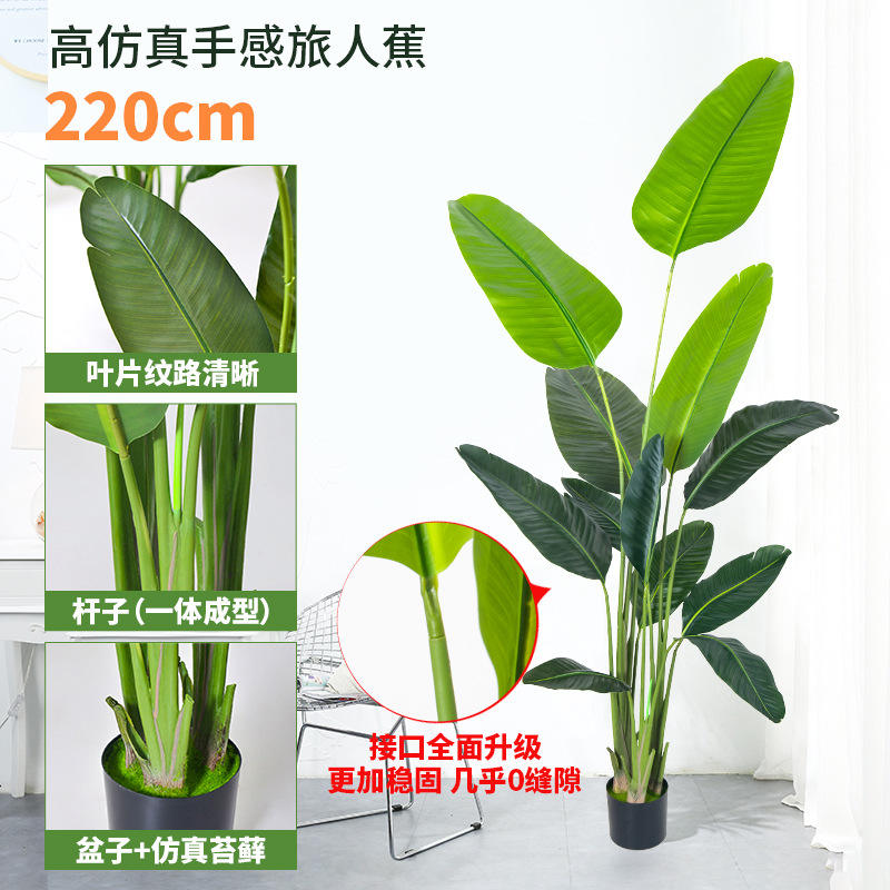 220cm traveler banana (12 leaves) green