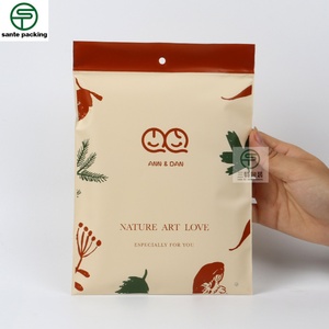 Custom Frosted PE Children's Underwear Clothing Zipper Top Recyclable Package Bags for Socks Shoes - Product Image 3