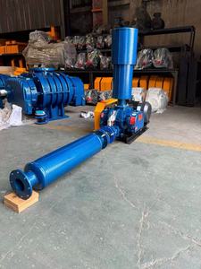 Souffleur à lobes rotatifs pour le traitement des eaux usées en Chine - Product Image 3