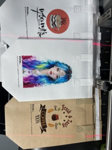 Macchina da Stampa Digitale UV a Passaggio Singolo Automatica per Borse Non Tessute Completamente Personalizzabili a Colori per Sacchetti Termici - Product Image 4