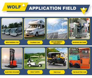 Batería WOLF de Ciclo Profundo AGM 6-EVF-80 de 12V 80Ah con 1 Año de Garantía para Triciclos Eléctricos y Sillas de Ruedas Eléctricas - Product Image 6