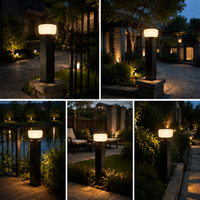 Lampe à pilier LED solaire extérieure étanche IP65 en acier inoxydable pour l'éclairage paysager de la cour
