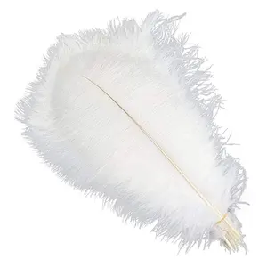 DREA Besar Murah 15-80Cm Putih Hitam Massal Bulu Burung Unta untuk Dekorasi Pesta Pernikahan