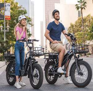 <span class=keywords><strong>2023</strong></span> Offre Spéciale 48v 750w double batterie Ebike en alliage d'aluminium électrique gros pneu Cargo vélo - Product Image 5