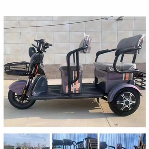 Nouveau Tricycle électrique adulte ménage loisirs petit <span class=keywords><strong>trois</strong></span> <span class=keywords><strong>roues</strong></span> personnes âgées marche pour ramasser les enfants vélo électrique <span class=keywords><strong>trois</strong></span> personnes - Product Image 4