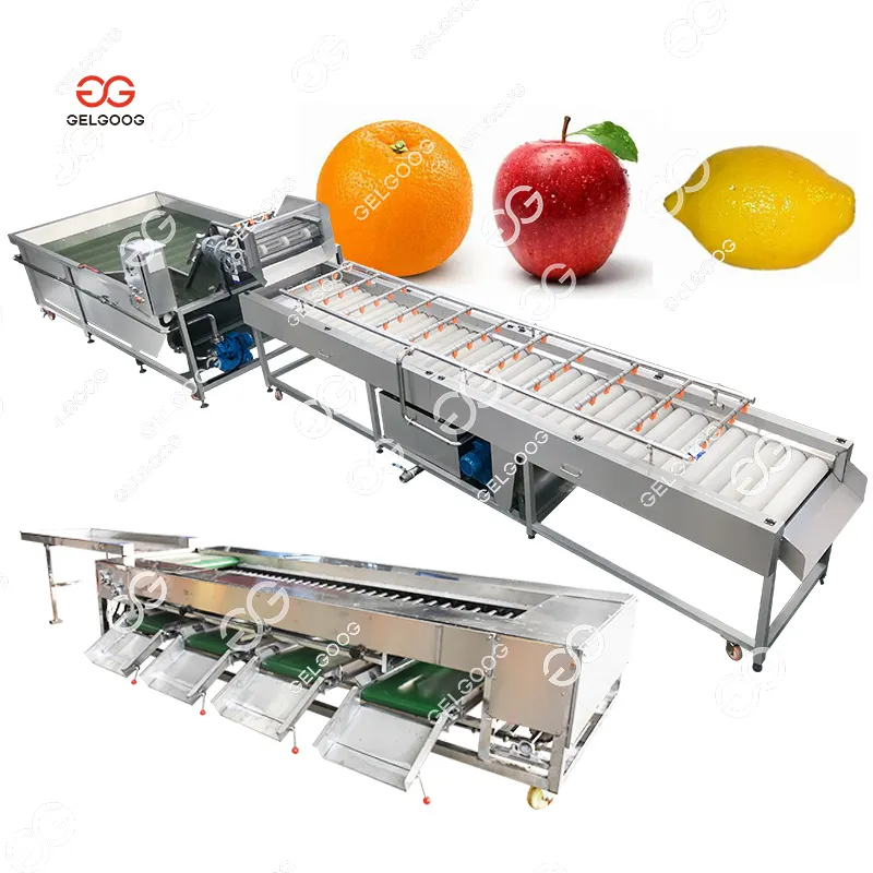 Obst reiniger Automatische Apfel wasch-Sortier-und Sortiermaschine Obst wäsche für Apfelbirnen-Trauben-Jujube-Maschine