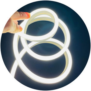 3000k 4000k 6000k <span class=keywords><strong>Neon</strong></span> Flex <span class=keywords><strong>12v</strong></span> 6mm 6x12s Silicone <span class=keywords><strong>Neon</strong></span> Light Strip Tube et Led 24V Armoire Flex <span class=keywords><strong>Neon</strong></span> <span class=keywords><strong>12v</strong></span> pour Cabinet Placard - Product Image 5