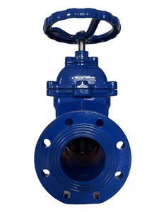 Vanne manuelle à opercule souple avec volant, modèle Z45X, non relevable - Product Image 2