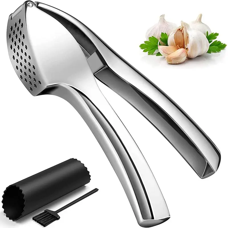 RAYBIN 2022 Kitchen gadgets hand manual stainless steel zinc alloy ginger press the garlic press crusher tool set with brush