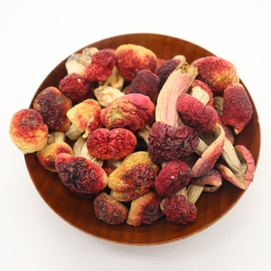 Jamur Himalaya Segar Berkualitas Tinggi, Jamur Merah Korea yang Dapat Dimakan - Product Image 4
