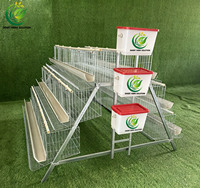 Nouvelle cage à poules pondeuses de type A, haute résistance à la corrosion, acier galvanisé, capacité de 96 à 160 oiseaux, marché du Ghana et du Kenya, volailles