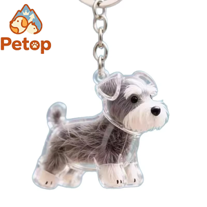Petop Supplier Llavero con forma de perro, cápsula de recuerdo para pelo de mascota, colgante alternativo para recortes de pelo y cenizas de cremación - Product Image 1