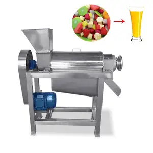 Electric motor spinach vegetable screw juicing machine strawberry spiral juicing machine