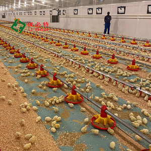 Nouveau système d'alimentation et d'abreuvement automatique U-BEST pour poulets en cage en plastique, équipement d'élevage avicole - Product Image 5