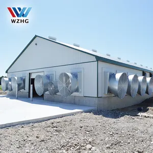 China manufacturers steel structure designs poultry farm chicken house shed for sale