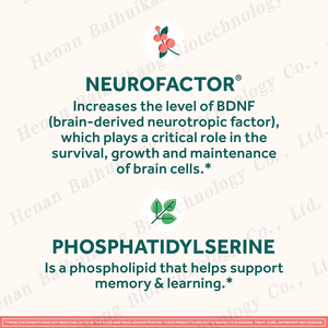 Alpha não nootropic não tăng cường bổ sung cho trẻ em & bộ nhớ người lớn, tinh thần rõ ràng & cải thiện nhận thức tập trung Gummies - Product Image 4