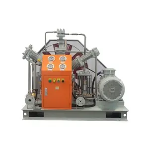 Hot Selling 500 Liters Compressor 110V 115V High Pressure Carbon Dioxide Compressor ac for Gold Mining