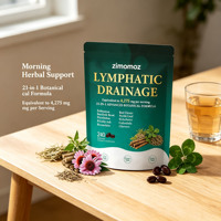 Gélules Antioxydantes Lymphatiques en Gros d'Usine – Extraits Botaniques Avancés, Complément Herbal pour le Soutien Immunitaire et le Bien-être Adulte