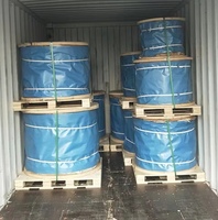 Câble de tyrolienne en acier galvanisé, câble métallique