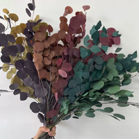 Feuilles de pomme naturelles séchées et préservées, feuillage éternel pour la décoration intérieure et les arrangements floraux